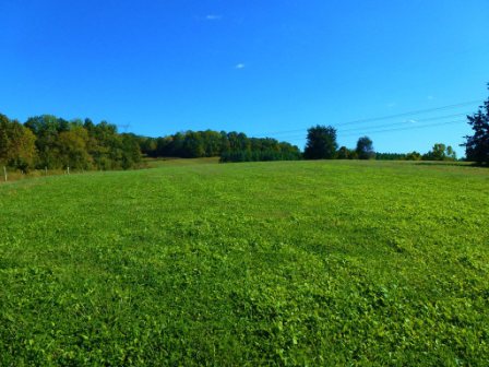 Beautiful Tennessee Land
